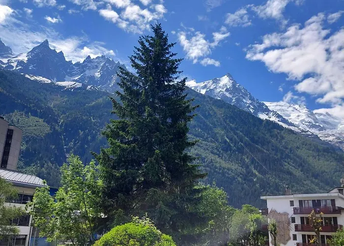Апартаменти 2 Pieces A Chamonix, Vue Mont-blanc, Animaux Admis, Parking - Fr-1-517-26