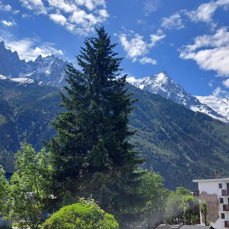 Διαμέρισμα 2 Pieces A Chamonix, Vue Mont-blanc, Animaux Admis, Parking - Fr-1-517-26