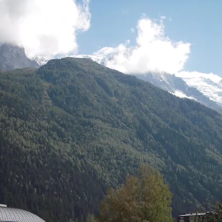 2 Pieces A Chamonix, Vue Mont-blanc, Animaux Admis, Parking - Fr-1-517-26 Lägenhet