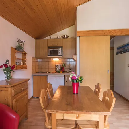 Appartement 2 Pièces à Chamonix, Vue Mont-blanc, Animaux Admis, Parking - Fr-1-517-26