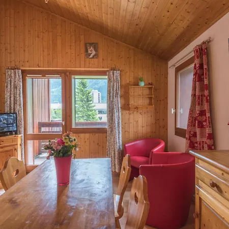 2 Pieces A Chamonix, Vue Mont-blanc, Animaux Admis, Parking - Fr-1-517-26 Apartment