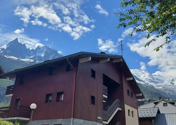 2 Pièces à Chamonix, Vue Mont-blanc, Animaux Admis, Parking - Fr-1-517-26 *