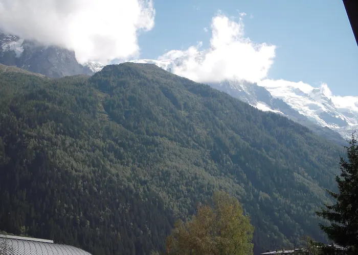 2 Pieces A Chamonix, Vue Mont-blanc, Animaux Admis, Parking - Fr-1-517-26 Apartment