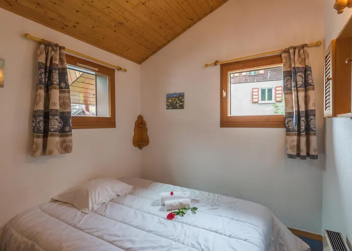 Apartment 2 Pieces A Chamonix, Vue Mont-blanc, Animaux Admis, Parking - Fr-1-517-26