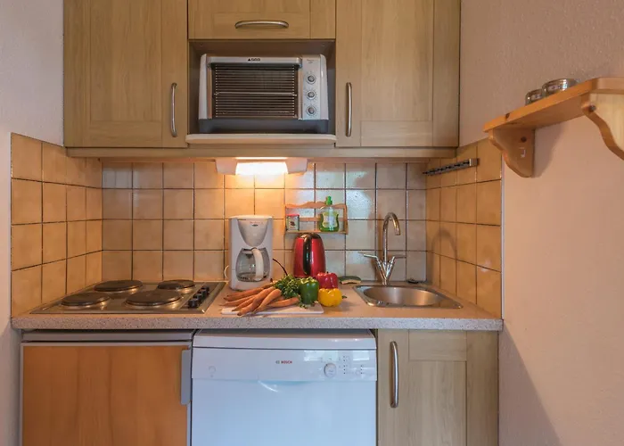 Appartement 2 Pièces à Chamonix, Vue Mont-blanc, Animaux Admis, Parking - Fr-1-517-26