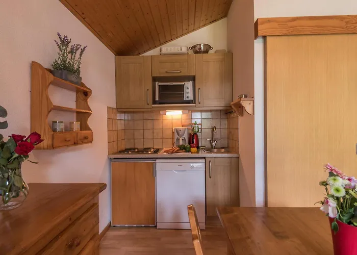 2 Pièces à Chamonix, Vue Mont-blanc, Animaux Admis, Parking - Fr-1-517-26 Appartement Chamonix